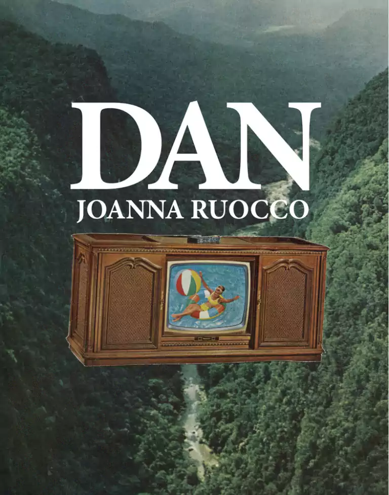 cover of Joanna Ruocco's Dan, console television showing a pool party floating over a forested canyon.